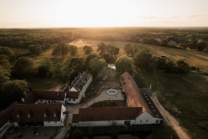 Rayon de Sologne - le grand liot (gîtes de groupe), Gîte à Langon-sur-Cher