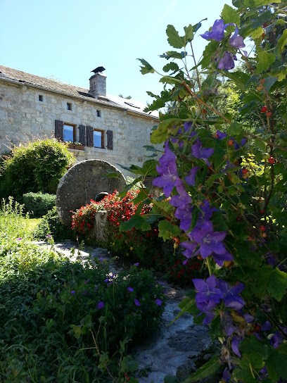 Gîte En Lozère  La Drosera à LAJO, Gîte à Lajo
