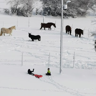 Gite et Ecuries de la Montay, Gîte à Damprichard