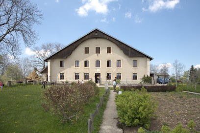 Barboux the discovery Farm, Gîte au Barboux