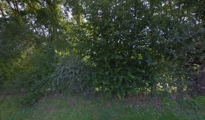 Le Clos Des Hortensias, Gîte à Toutainville