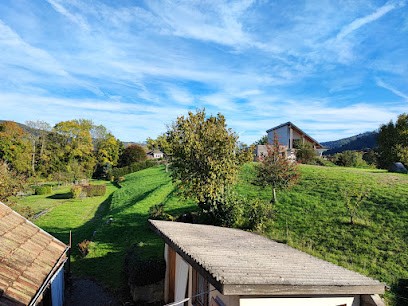 Gîte Le Spitzacker, Gîte à Husseren-Wesserling
