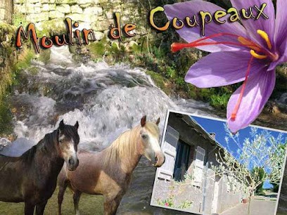 Safran Du Moulin De Coupeaux, Gîte à Villeneuve