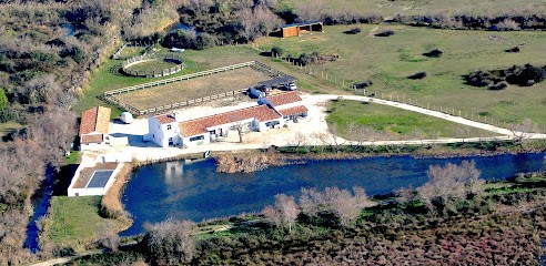la fée des sagnes, Gîte à Saintes-Maries-de-la-Mer
