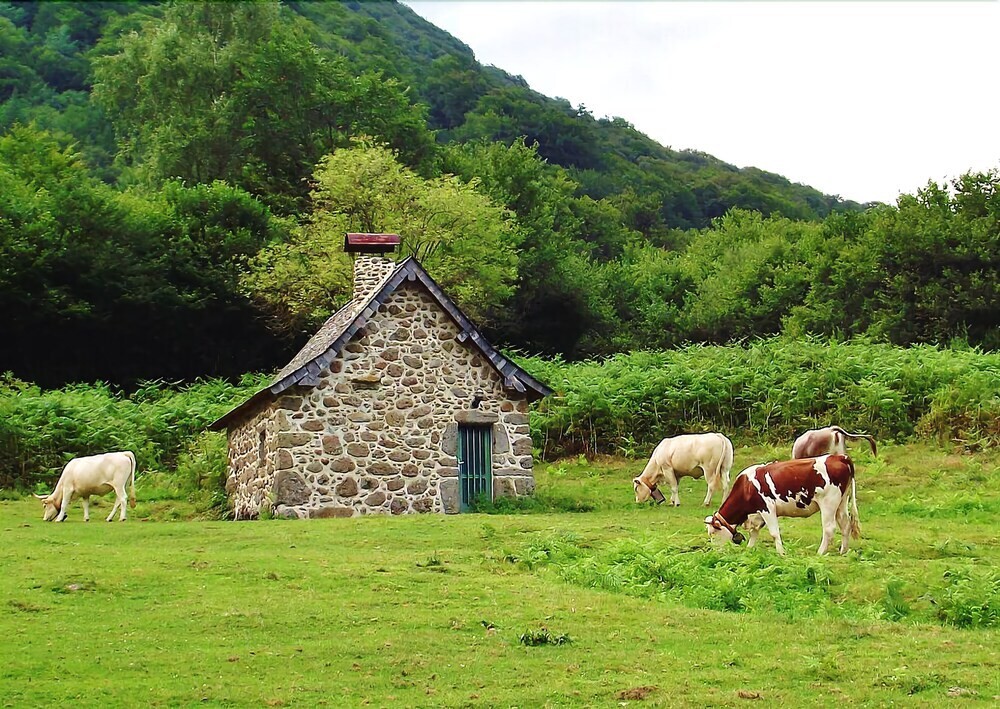 Les chalets de la forêt d'Issaux, Gîte à Osse-en-Aspe