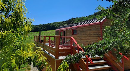 La Roulotte Du Tonnelier, Gîte à Castelnau-de-Montmiral