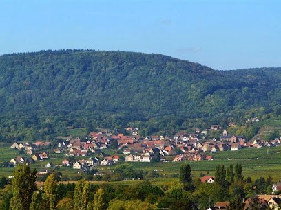 Gîte la beringere,2 pers à Issenheim, Gîte à Issenheim