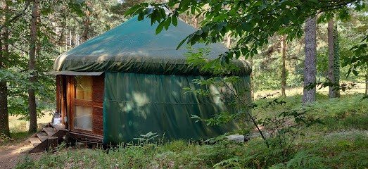 Yourte Cantal, Gîte à Vitrac