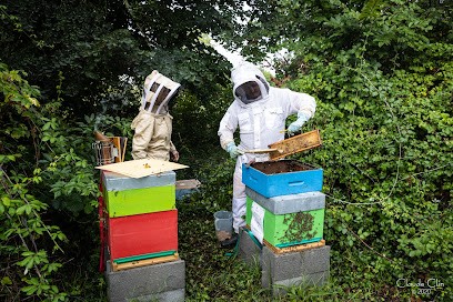 Le rucher du moulin de la Virvee, Gîte à Saint-André-de-Cubzac