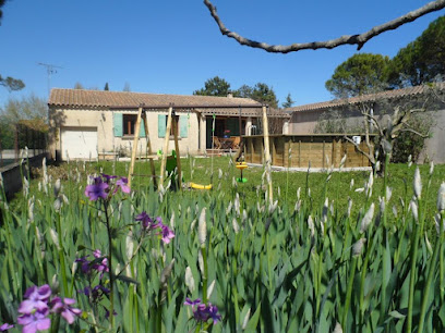 Chez Tatie - Gîtes De France Gîte à Mollégès