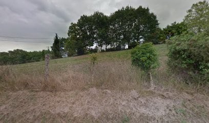 Argaïnart, Gîte à Hasparren