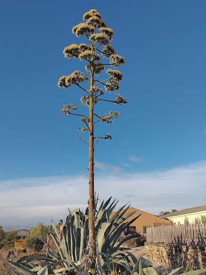 La Cavette Et Les Gites La Cavette, Gîte à Saint-Maurice-de-Cazevieille