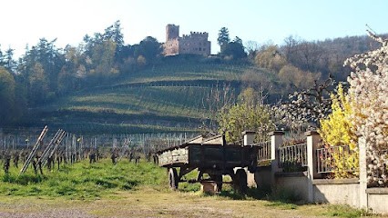 2 gîtes de charme - Entre Histoire et Terroir, Gîte à Kintzheim