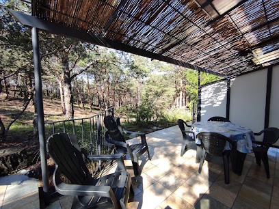 Les Pradines, Gîte à Saint-Julien