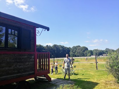 Roulotte des Crins d'Or, Gîte à Hauville