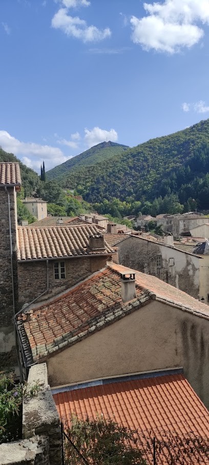 Gîte d'Aigoual, Gîte à Valleraugue
