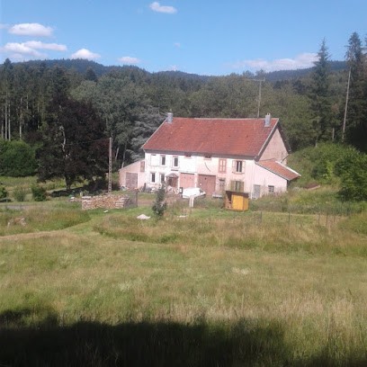 Gîte à L'orée Du Bois, Gîte à Celles-sur-Plaine