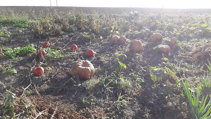 Gite Des Glycines, Gîte à Chevrières