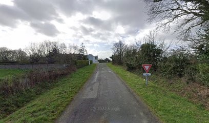 Gîte les lions, Gîte à Pleurtuit