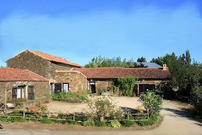 Le Grand Pin, Gîte à Antigny