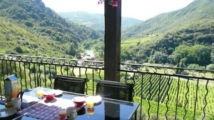 Chez Papé - Gîtes De France, Gîte à Vieussan