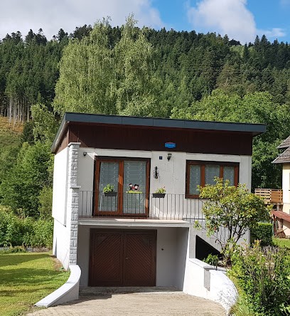 Gîte En Alsace Près Des 2 Lacs, Gîte à Rimbach-près-Masevaux