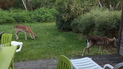 Cottage 383, Gîte à Morton