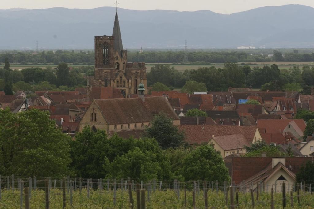 Gîte duplex du vignoble Alsace, Gîte à Rouffach