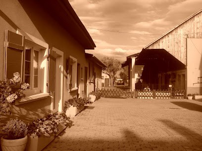 La Ferme De La Torre - Location Gîte Familial De Charme, Maison De Vacances à La Campagne- ALSACE Parking Et Wi-fi Gratuit, Gîte à Sausheim