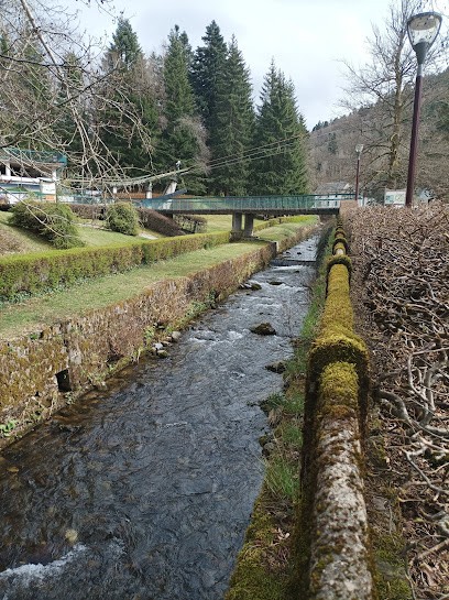 Gîte Les Iris, Gîte à La Bourboule