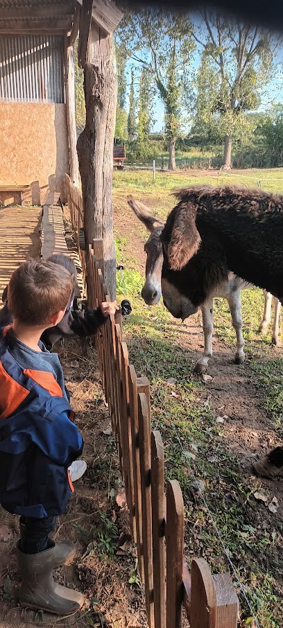 Gite les feux chauds, Gîte à Bouchamps-lès-Craon