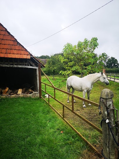 Gîte, La Charretterie du Manoir de Gourel, Gîte à Brachy