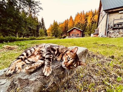Gîte Les Caribous, Gîte à Aviernoz