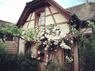 Gîte LES CERISIERS, Gîte à Triembach-au-Val