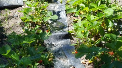 Les Gîtes du bas Coudreau, Gîte à Rosnay