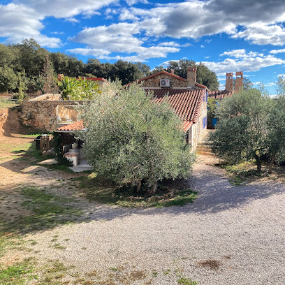 Mas Picagnol - Gîte Olivier, Gîte à Oms