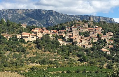 Gîte La Glycine, Gîte à Vieussan