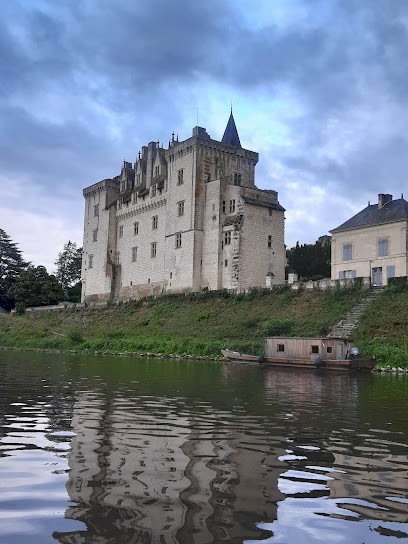 Douceur de Loire, Gîte à Montsoreau