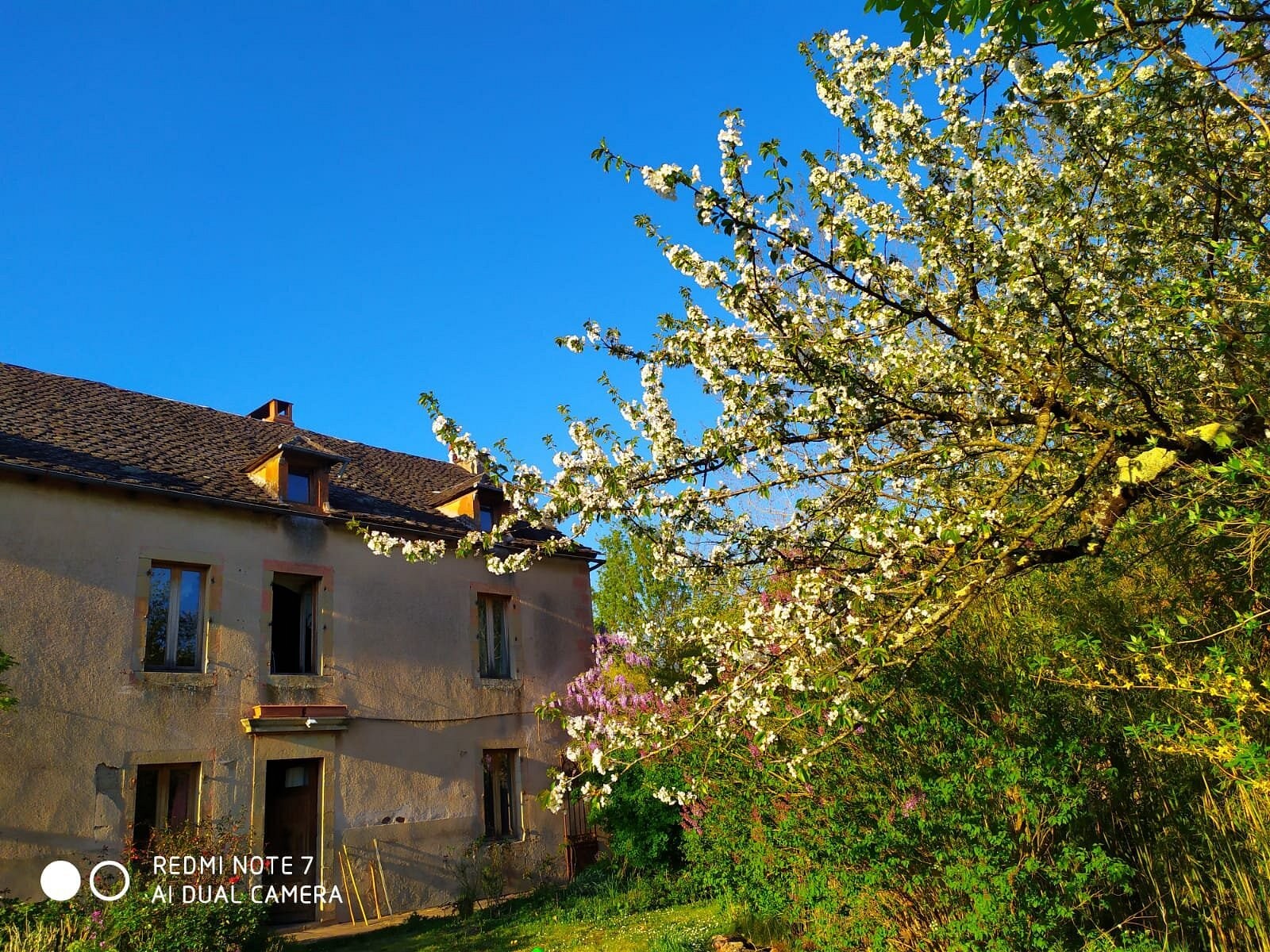 Maison De Famille Et D'ami·e·s, Gîte à Valady