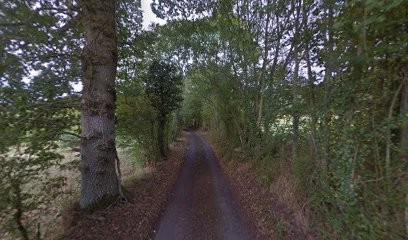 Sur le bord du lac, Gîte à Putanges-le-Lac