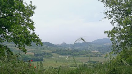 Le gite de la Colline, Gîte au Barroux