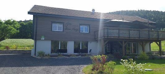 Gîte Perce Neige, Gîte à Gerbépal