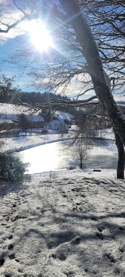 Les Gites du Mouton Noir, Gîte à Saint-Julien-Puy-Lavèze