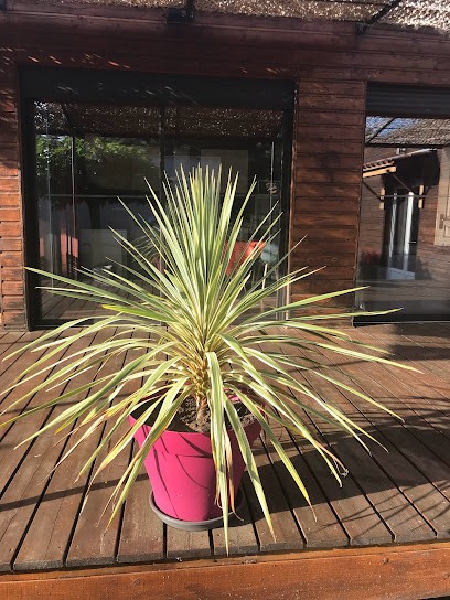 Blue Cedar Cottage, Gîte à Mons