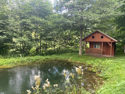 Ferienhaus Marcel, Gîte à Plainfaing