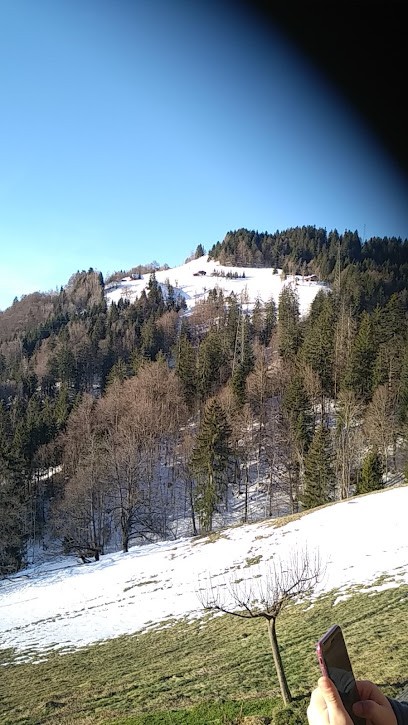 Gîtes à La Chèvrerie des Praz, Gîte à Cohennoz