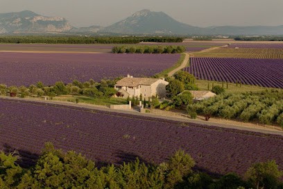 Le Petit Telle, Gîte à Puimoisson