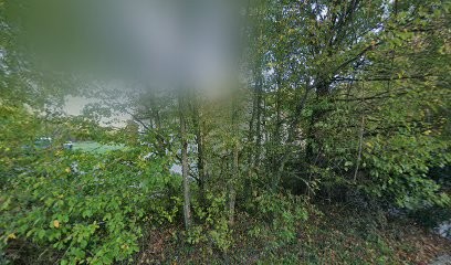 Cottage Of The Upper Elder, Gîte à Niort