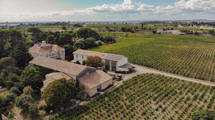 Maison Stony - Gites & Vignoble, Gîte à Frontignan