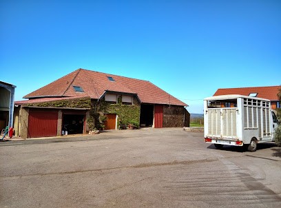 Gîte à La Ferme Le Roupel, Gîte à Coume